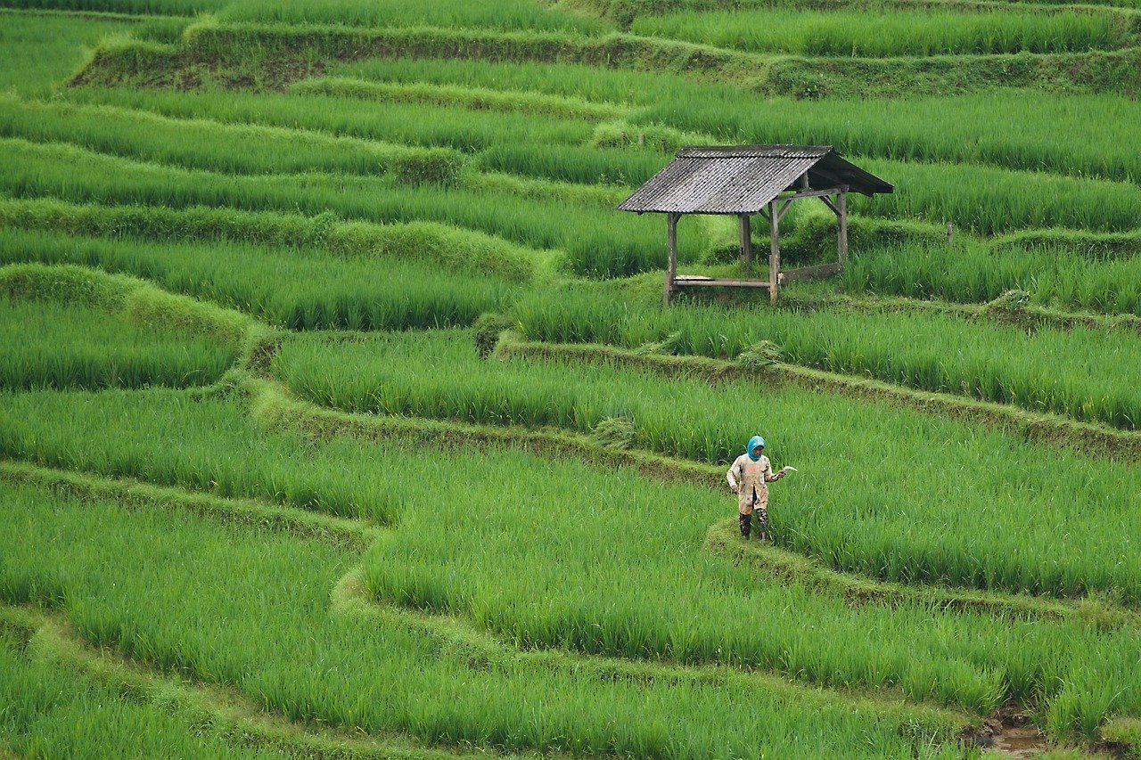 national kissan khady nigam)