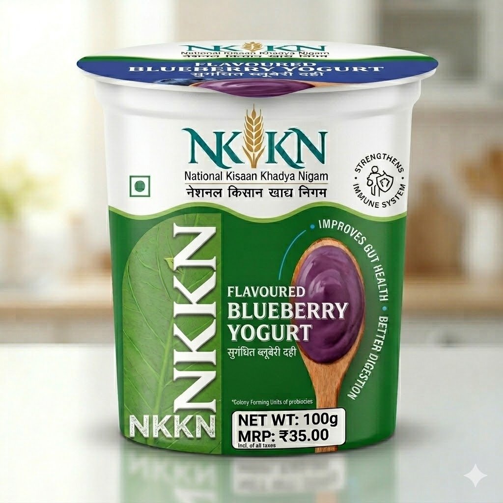 Read more about the article NKKN Brand Blueberry Yogurt: A Delicious Blend of Taste and Nutrition
